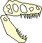 T. rex skull